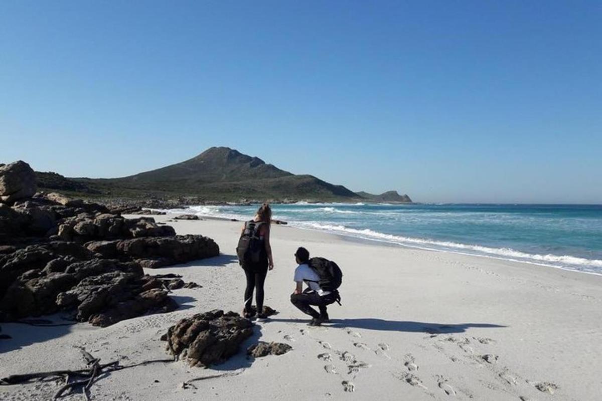 Dos personas de pie en una playa cerca del océano.