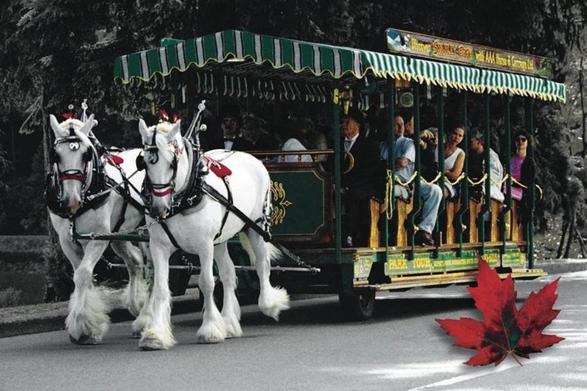Dos caballos blancos tirando de un carro lleno de gente
