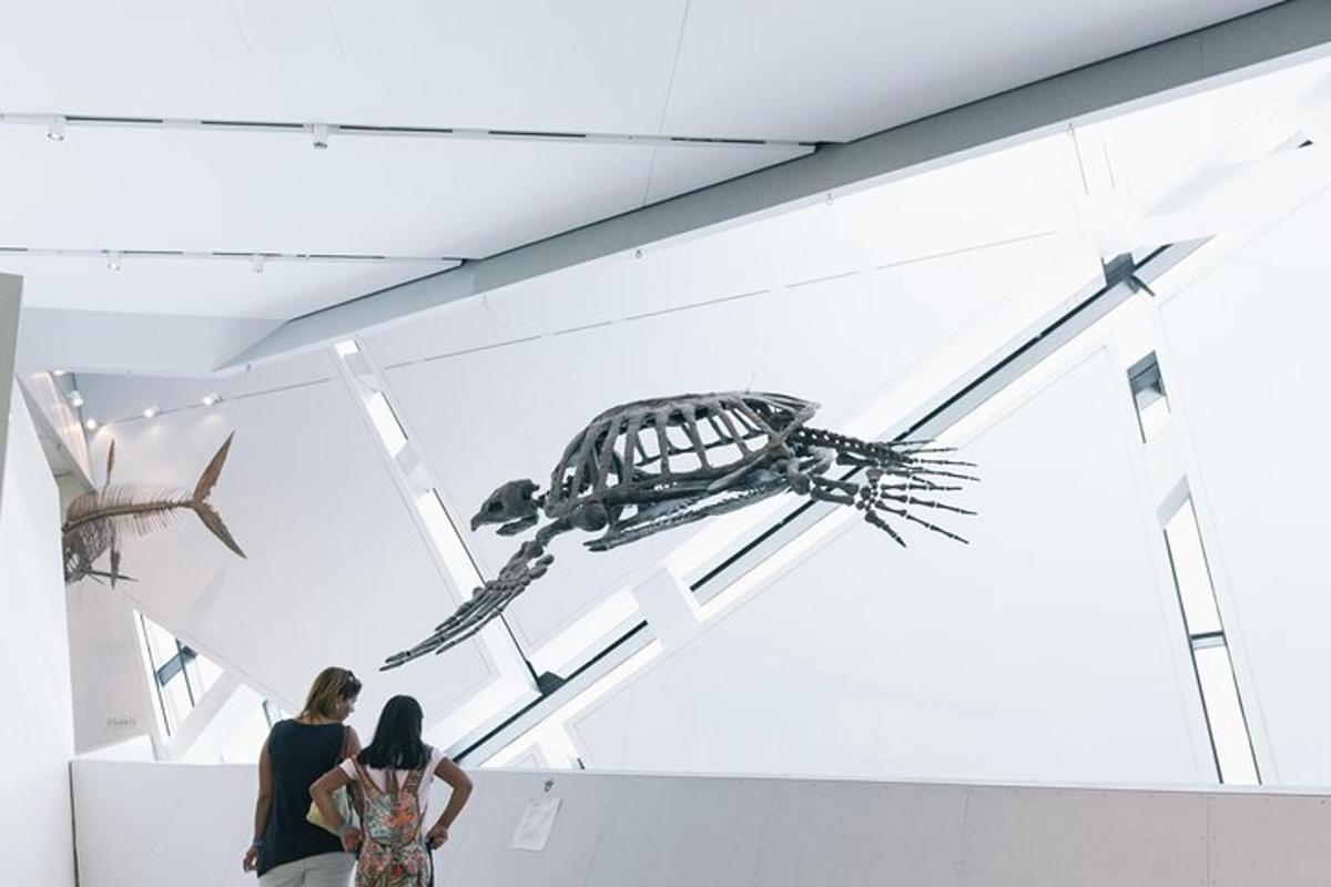 two women looking at a skeleton in a museum