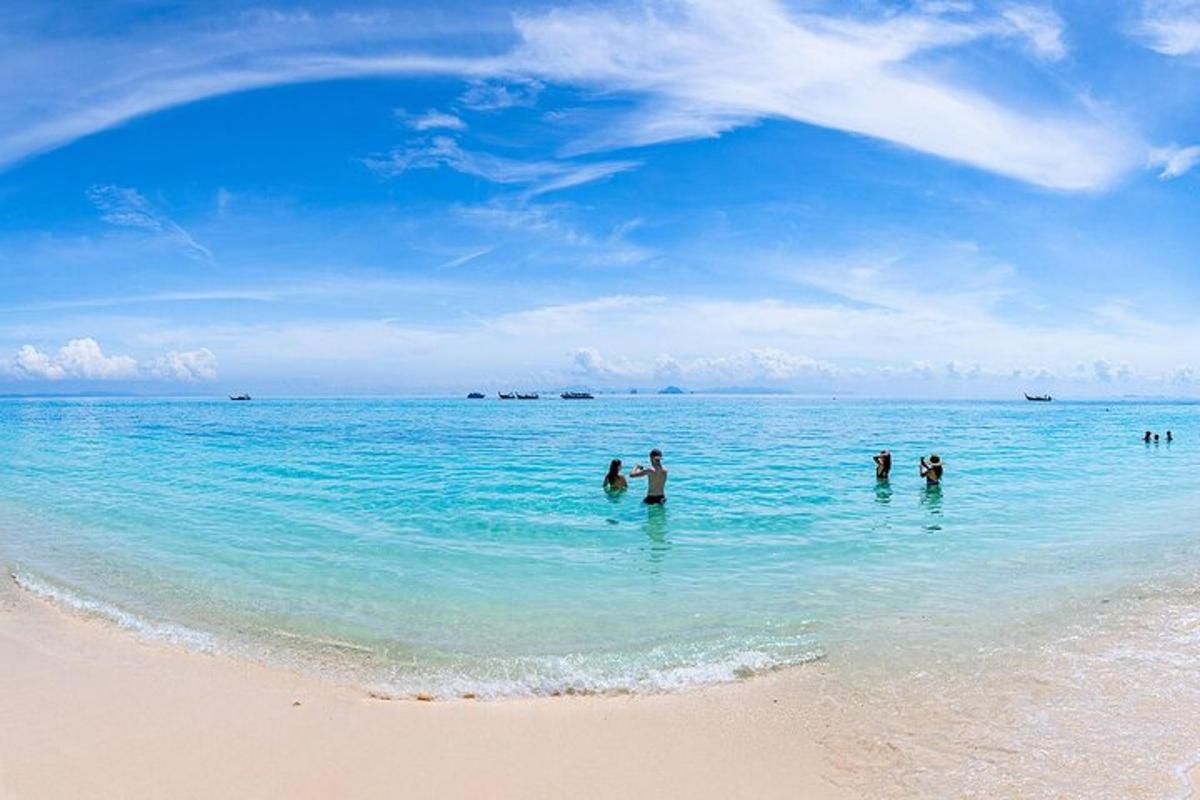 a group of people standing in the water on a beach