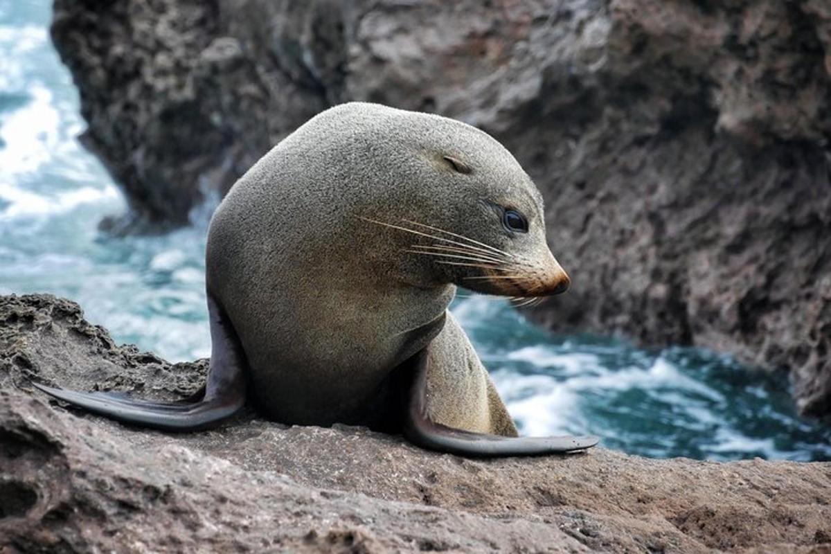 Fotografia da atração 3