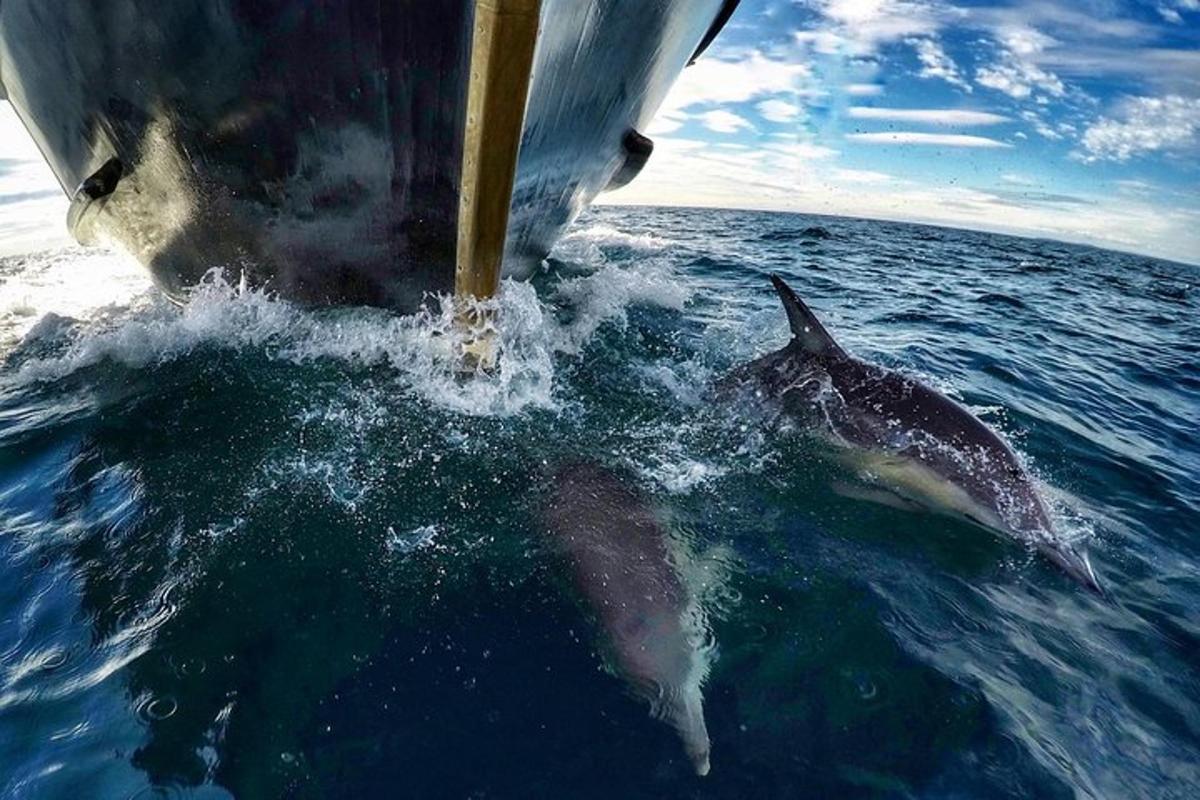 Fotografia da atração 5