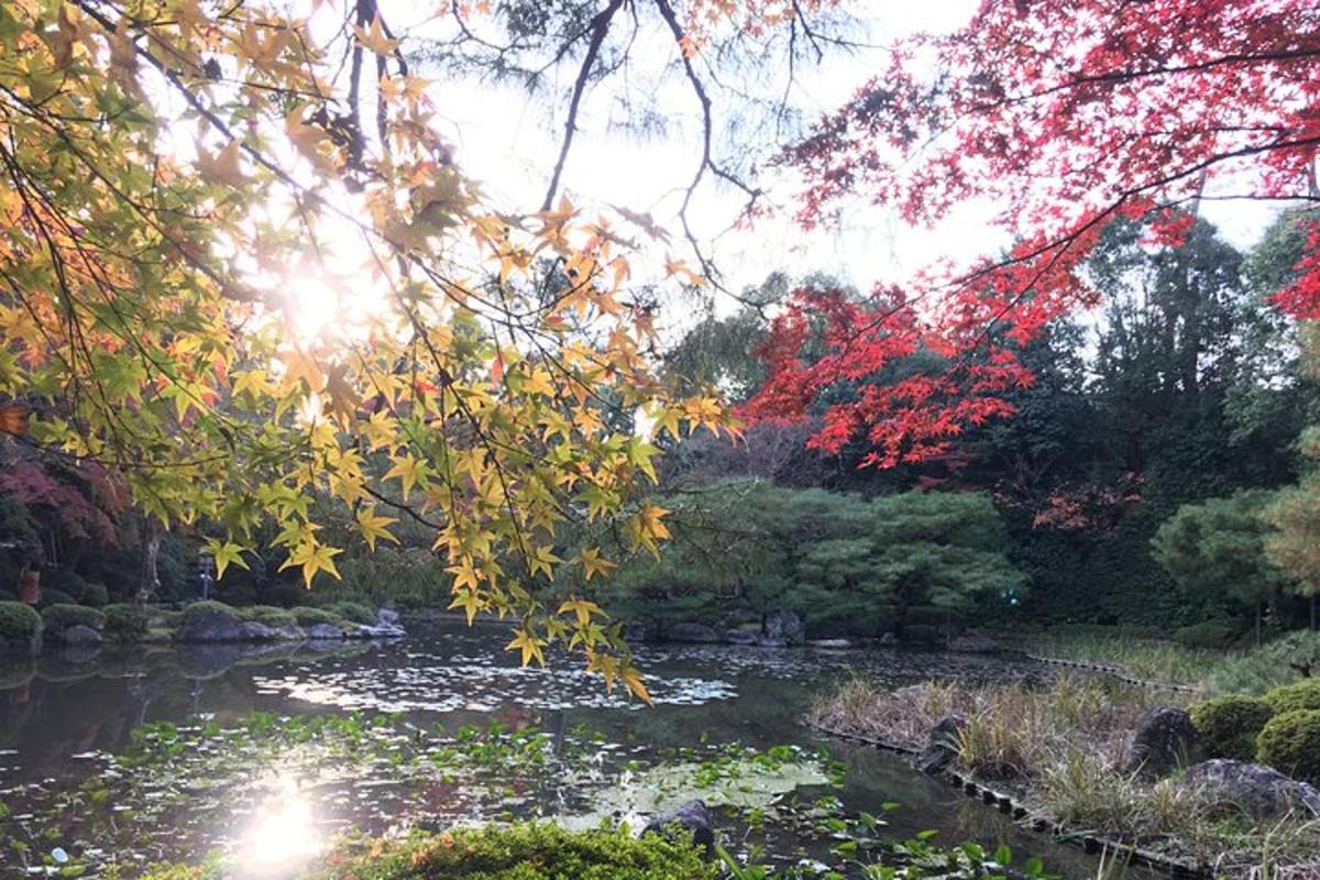 un giardino con uno stagno e alberi con foglie autunnali