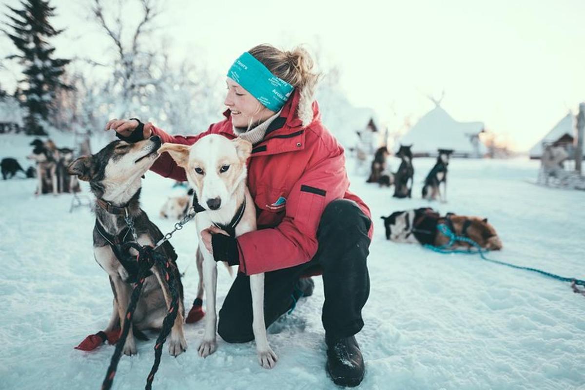 Kona leikur sér með tveimur hundum í snjónum