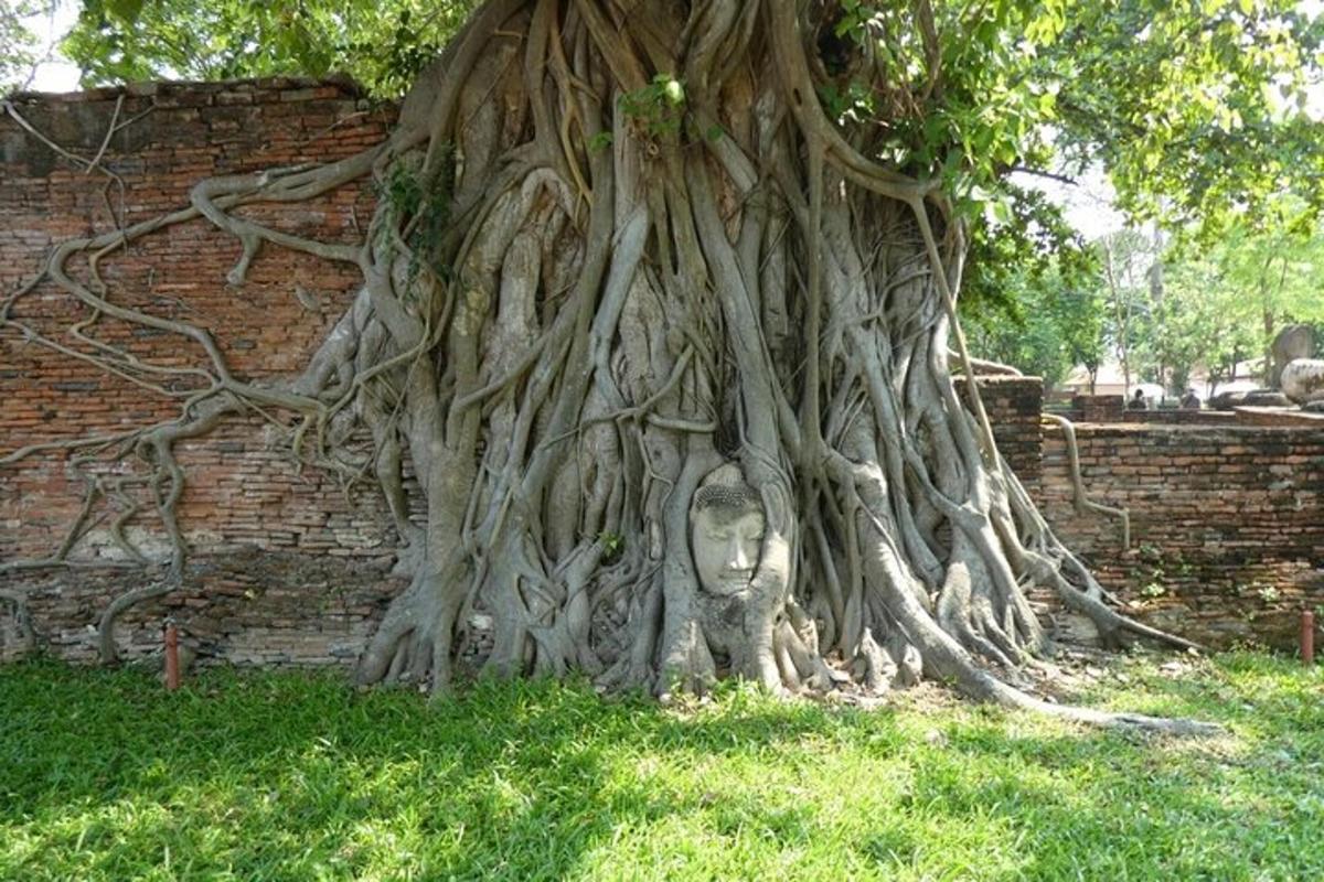 uma árvore com uma estátua em frente a uma parede de tijolos