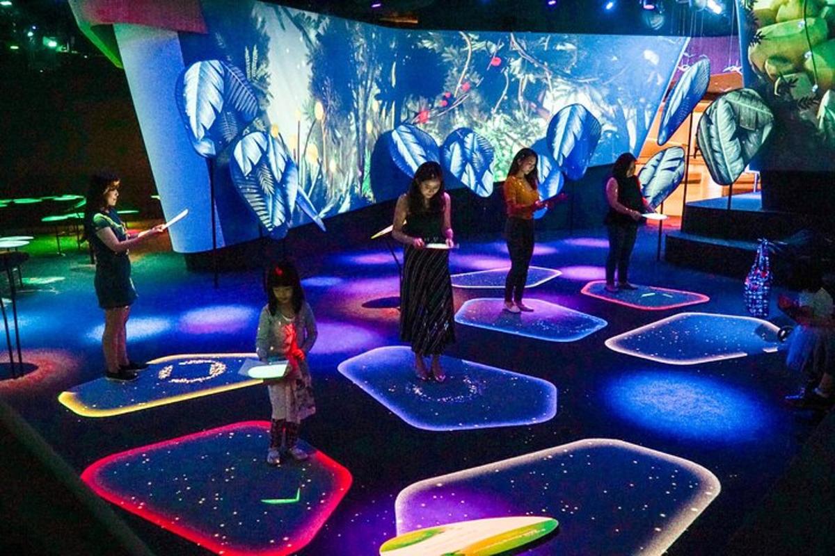 a group of people standing on surfboards on a stage