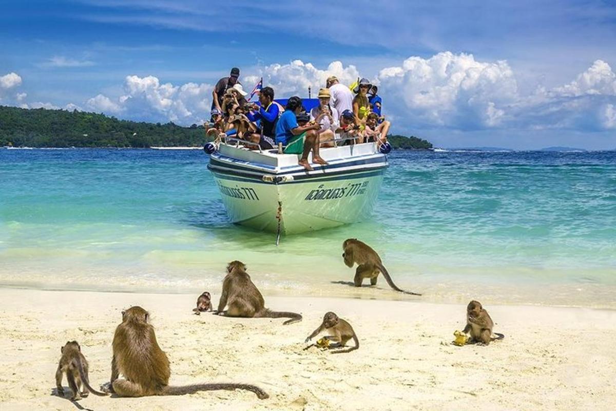 skupina opic, ki sedijo na plaži ob čolnu