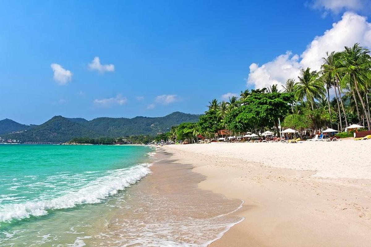 una spiaggia sabbiosa con palme e l'oceano