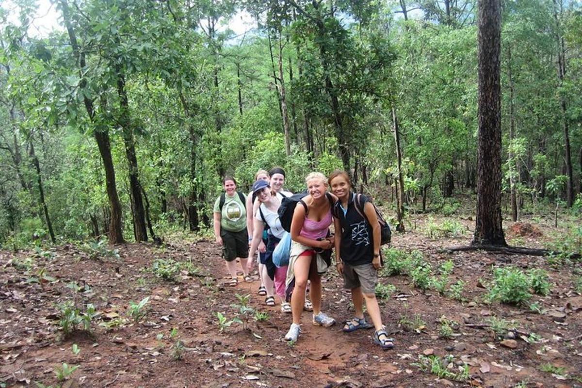 eine Gruppe von Menschen, die auf einem Pfad im Wald spazieren gehen