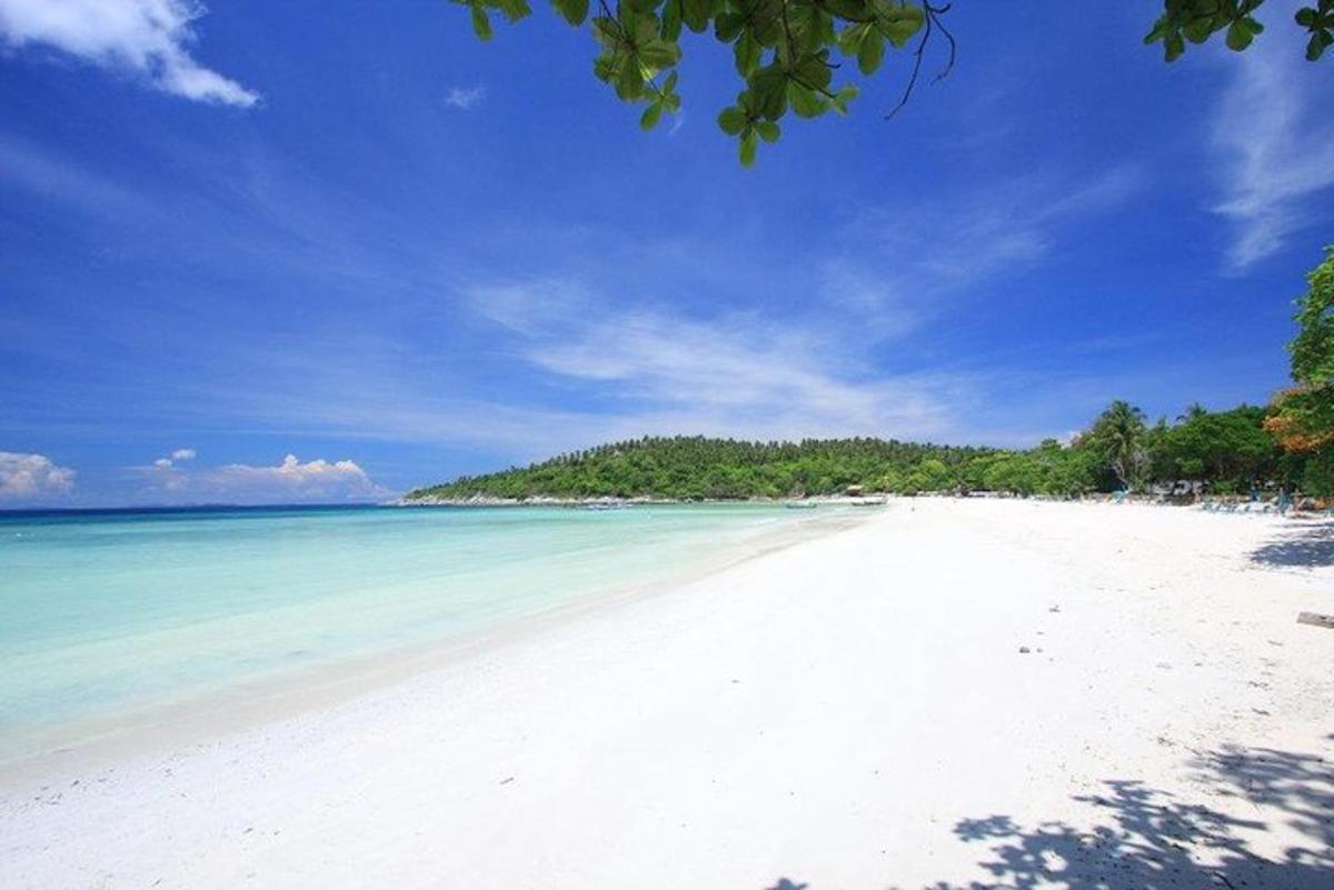pemandangan pantai putih dengan pepohonan dan lautan