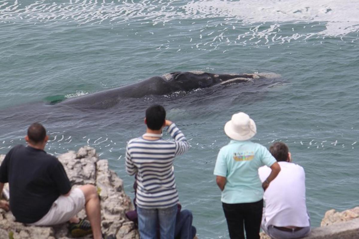 Fotografia da atração 1