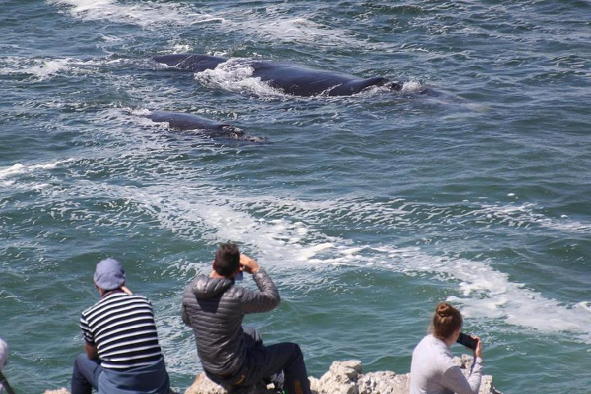 Fotografia da atração 3