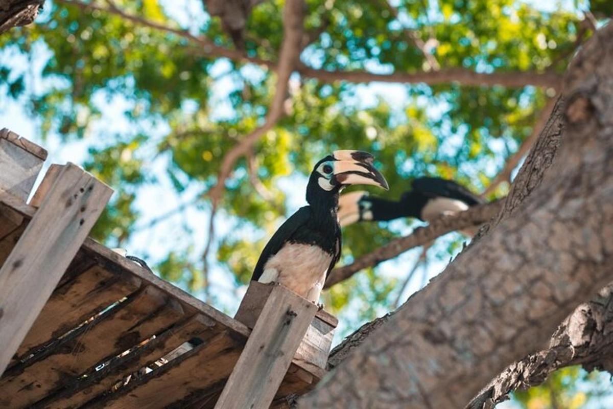 un pájaro sentado encima de una pajarera