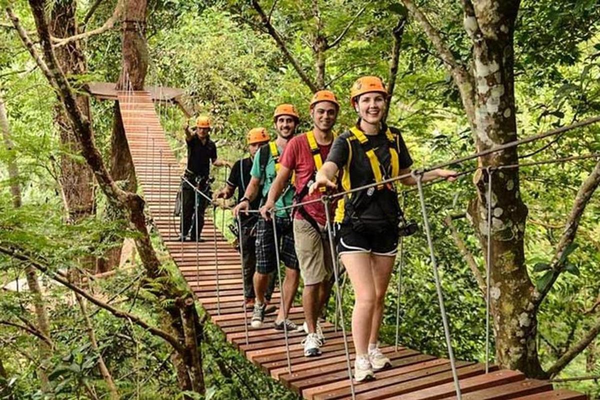a group of people walking across a suspension bridge in the forest