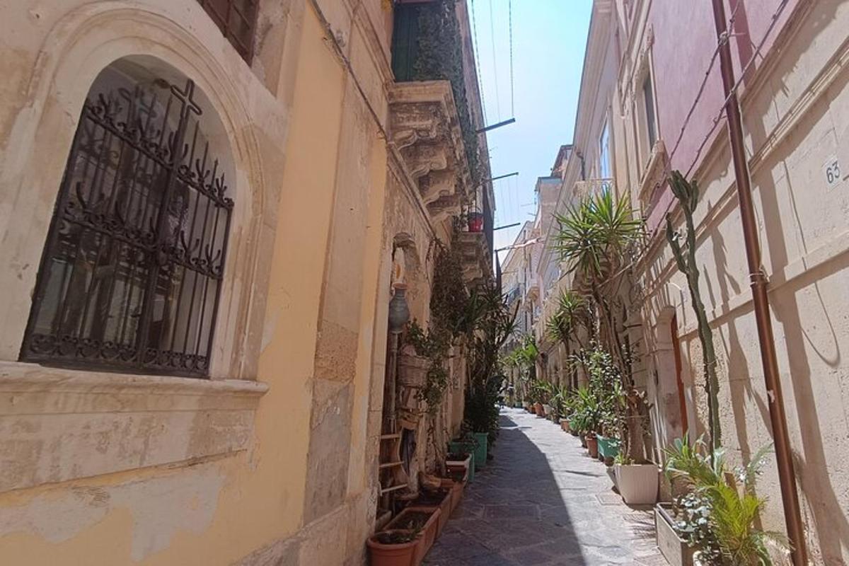 lorong dengan tanaman pasu di sisi bangunan