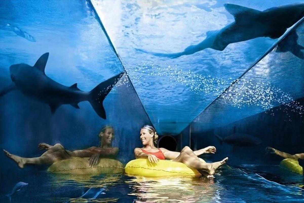 Attraction picture 7