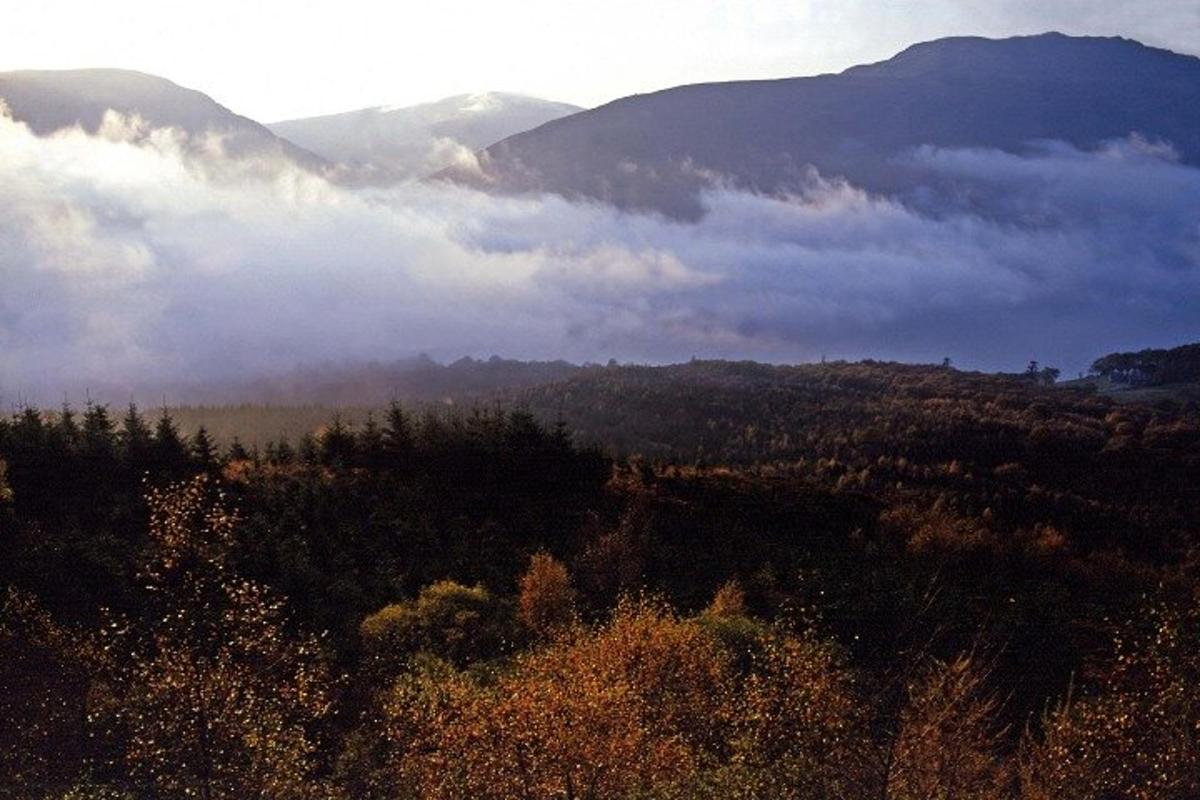 Fotografia 5 a atracției