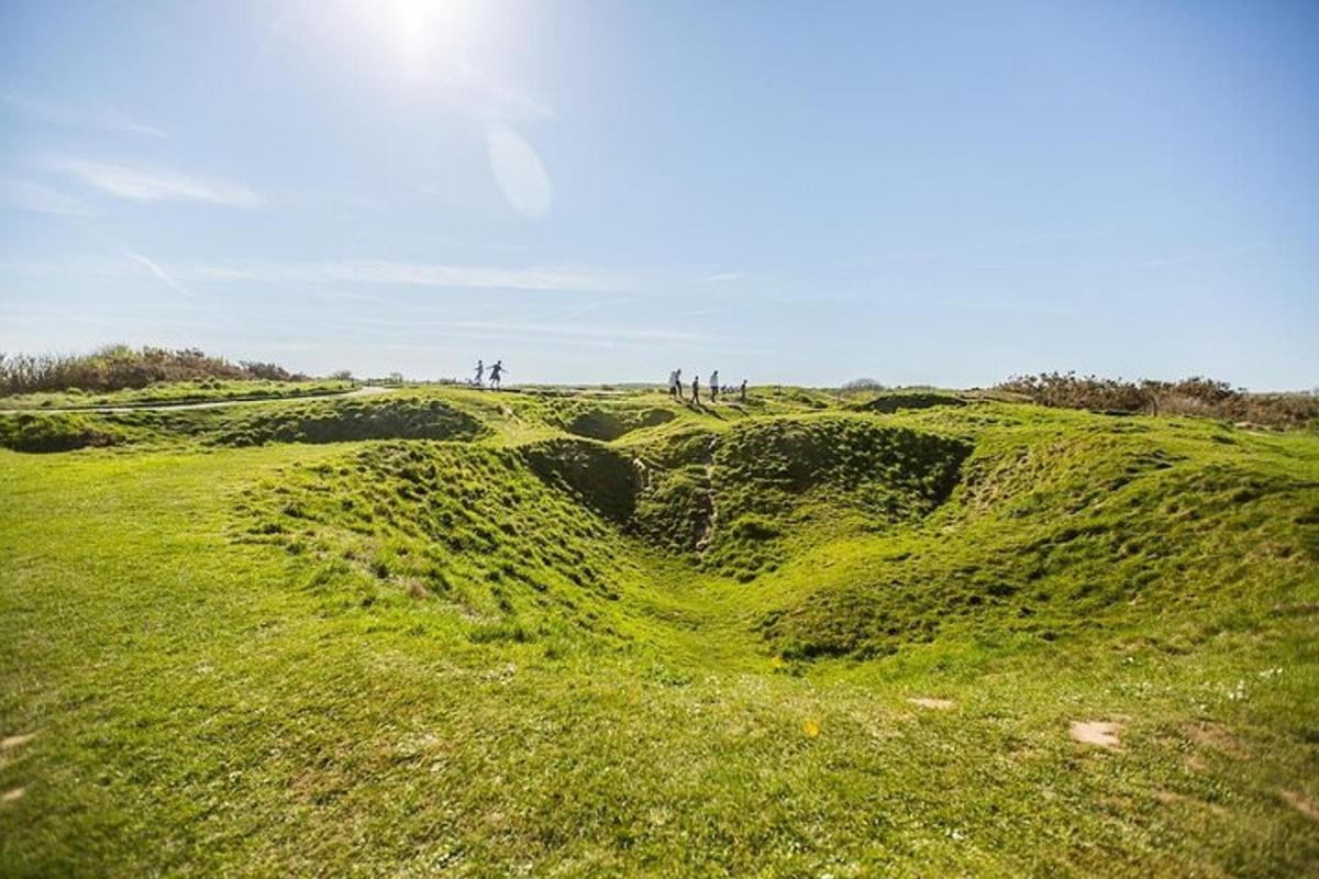 een groene grasheuvel met bomen op de achtergrond
