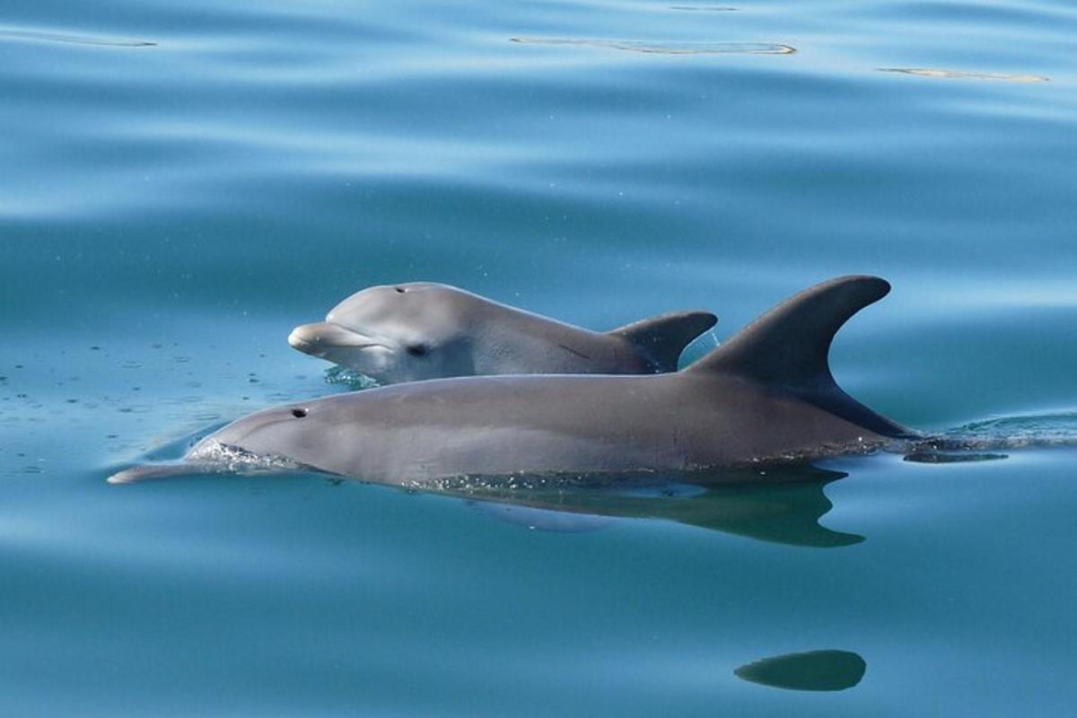 Lankytinos vietos ar pramogos nuotrauka numeris 1