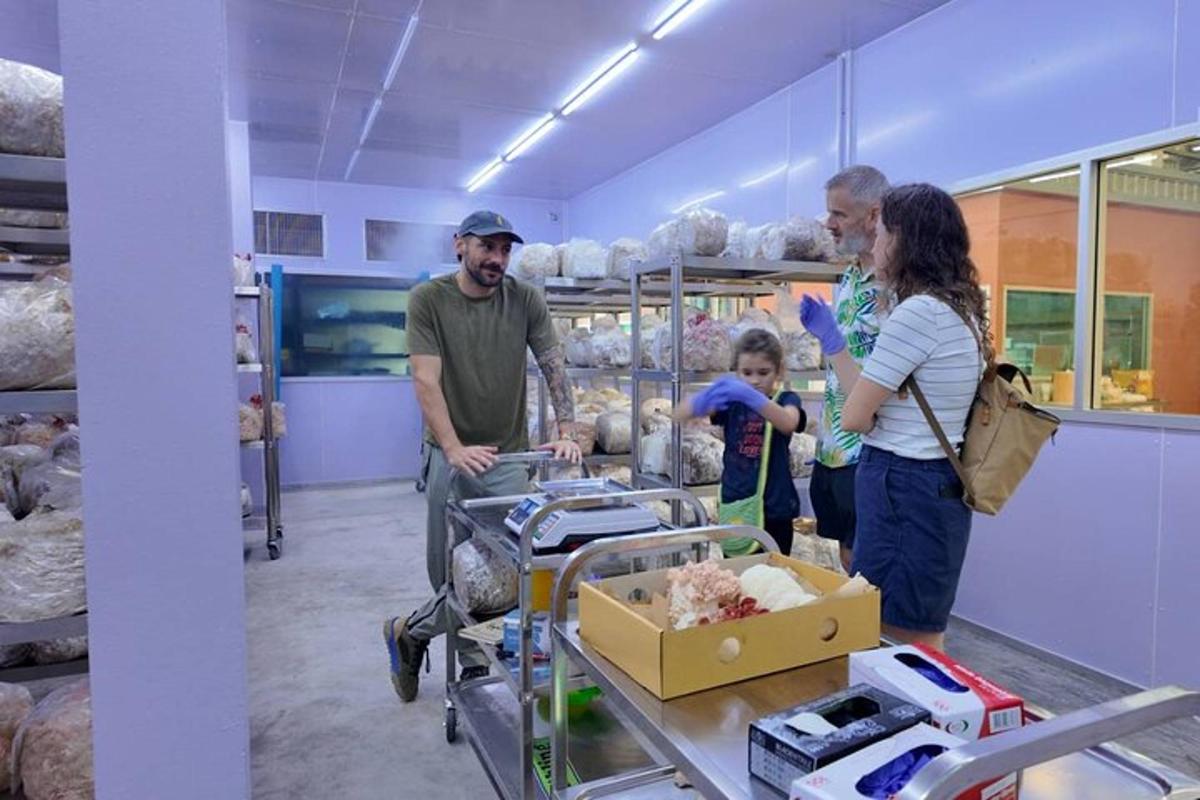 um grupo de pessoas em uma loja olhando bichos de pelúcia