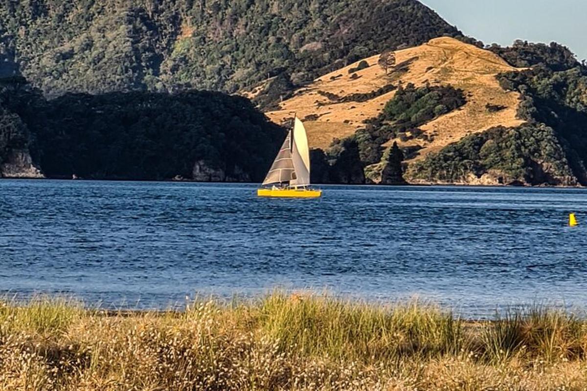 Fotografia da atração 5