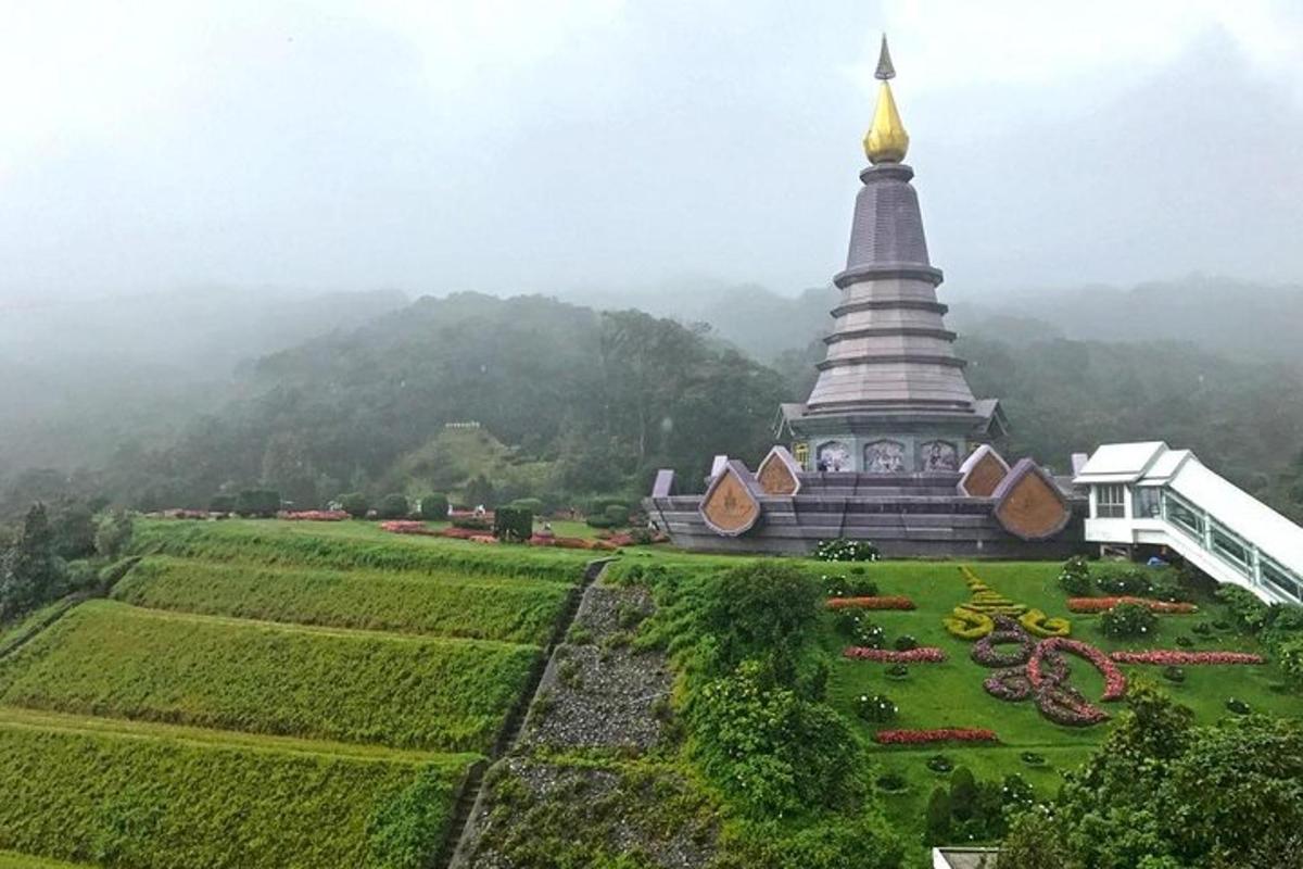 pagoda na vrcholu zelené louky vedle budovy