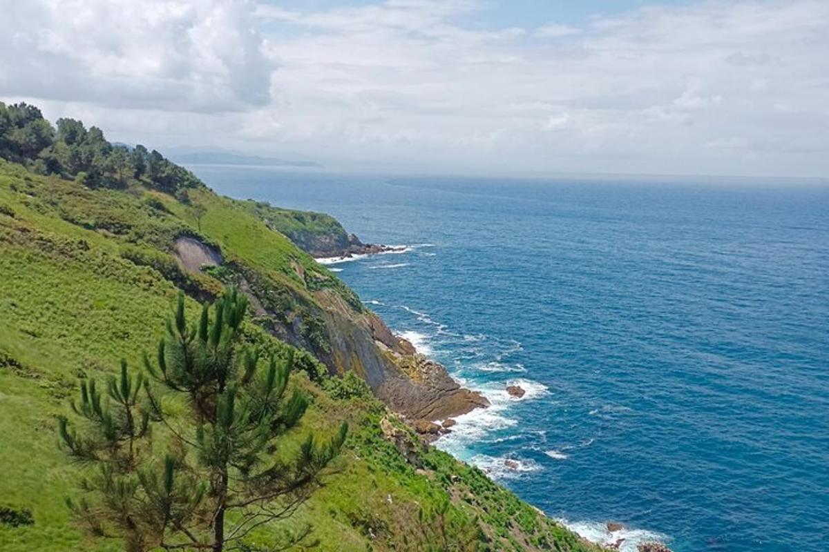 lereng bukit yang hijau dengan pokok dan lautan