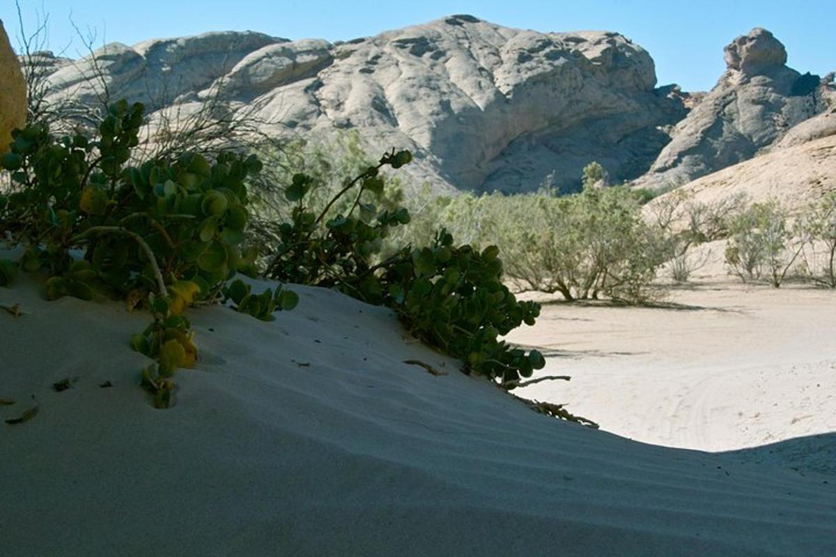 Lankytinos vietos ar pramogos nuotrauka numeris 1