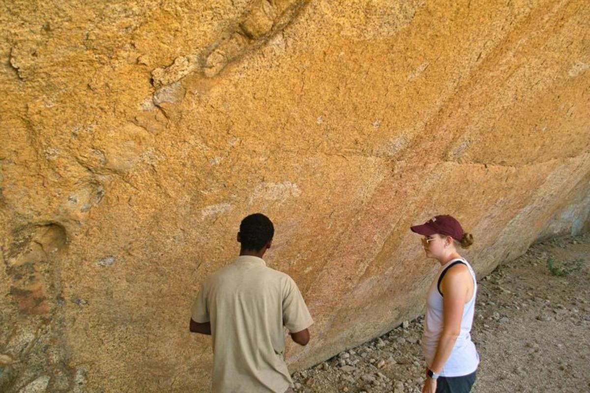 Lankytinos vietos ar pramogos nuotrauka numeris 7