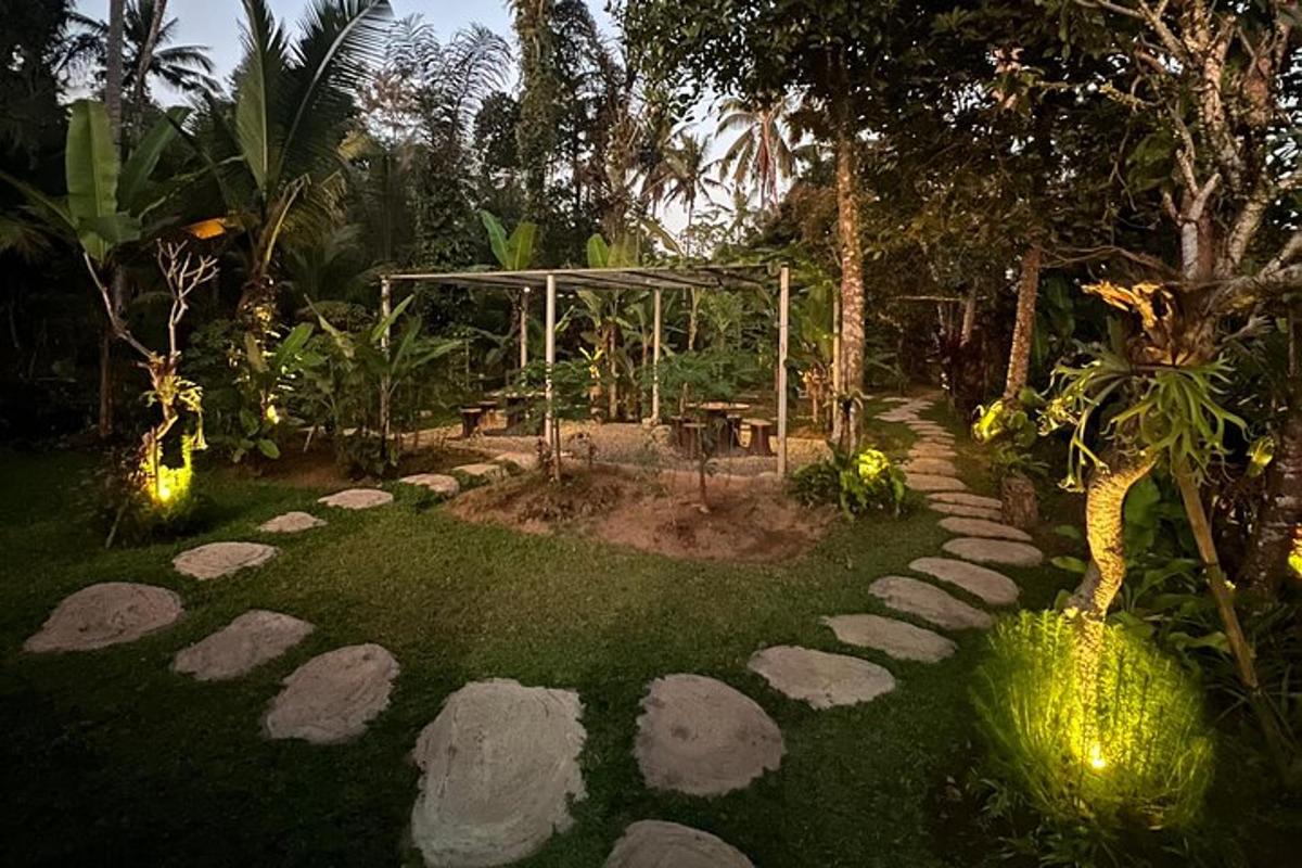 un giardino di notte con rocce nell'erba