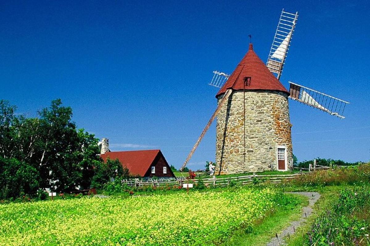 un mulino a vento su una collina accanto a una casa