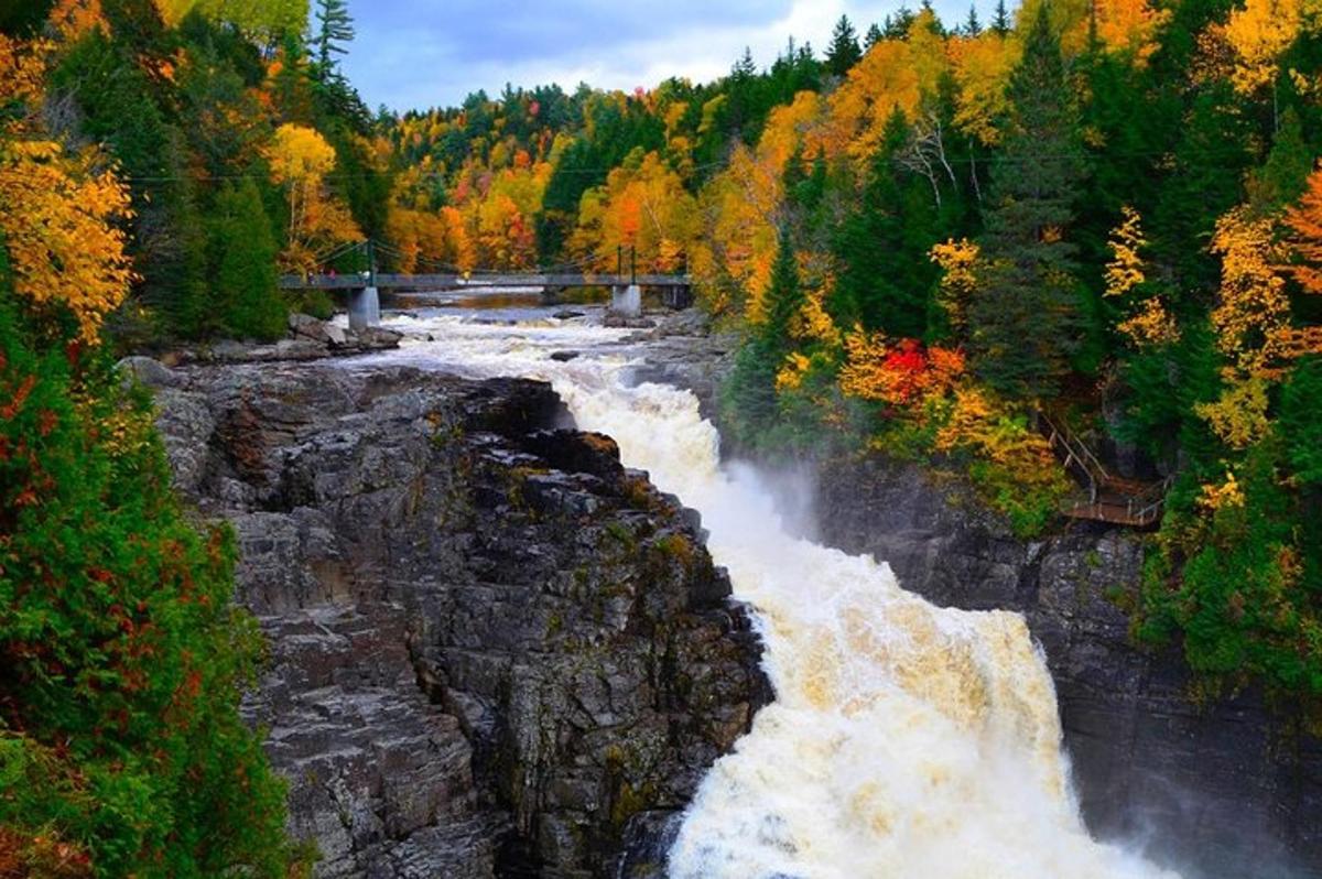 un fiume con una cascata in mezzo a una foresta