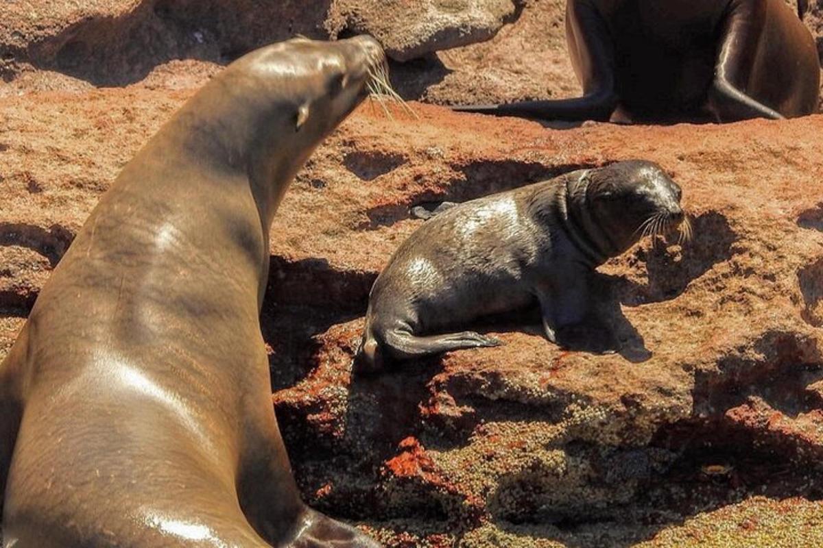 Lankytinos vietos ar pramogos nuotrauka numeris 7