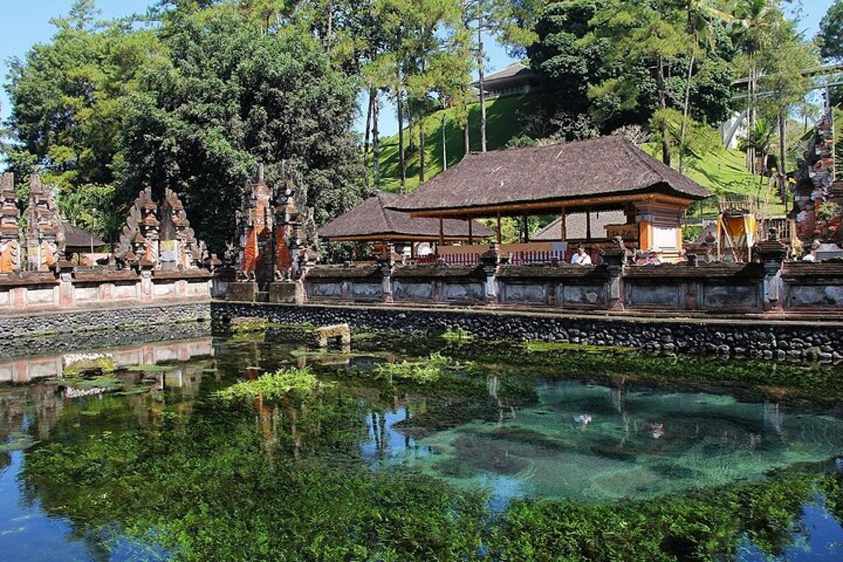 a large pond with a gazebo in a garden
