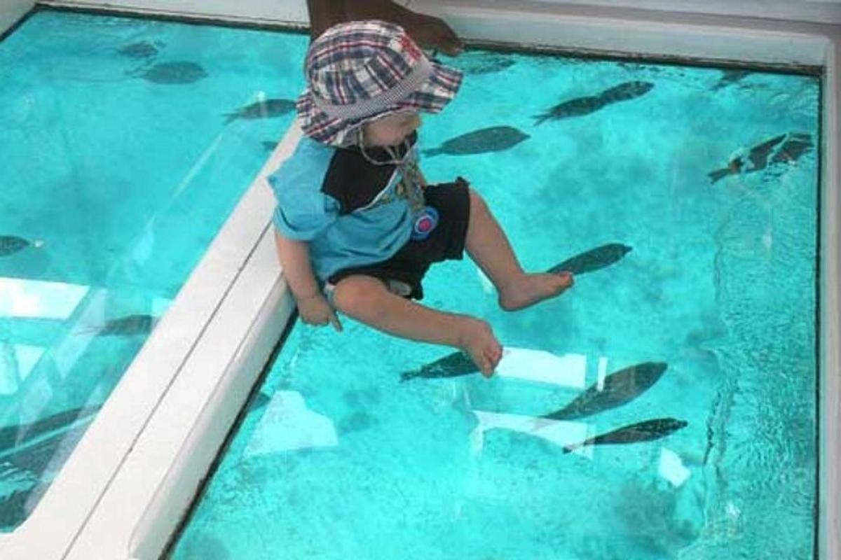 Lítil stelpa að skoða fiska í fiskabúr