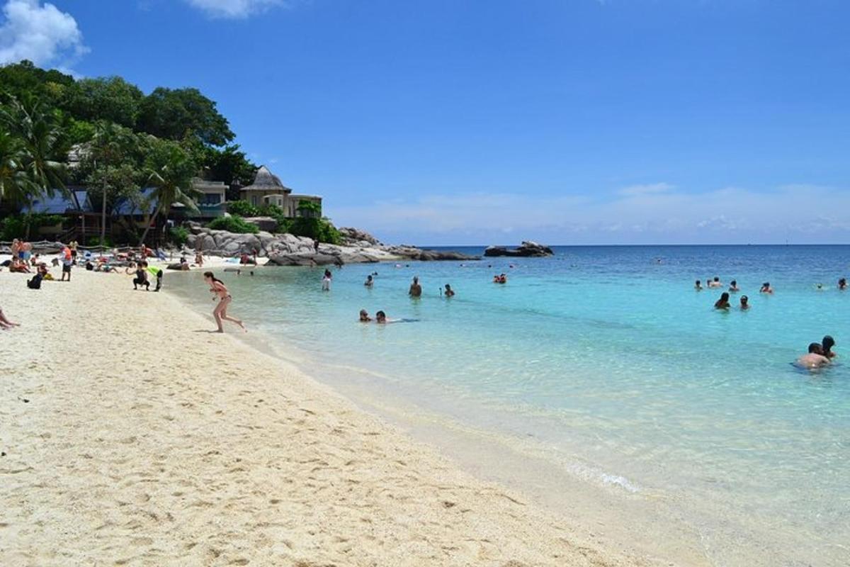 un gruppo di persone in acqua su una spiaggia