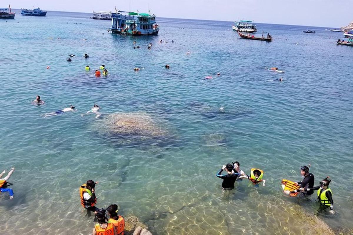 sekelompok orang di air di pantai