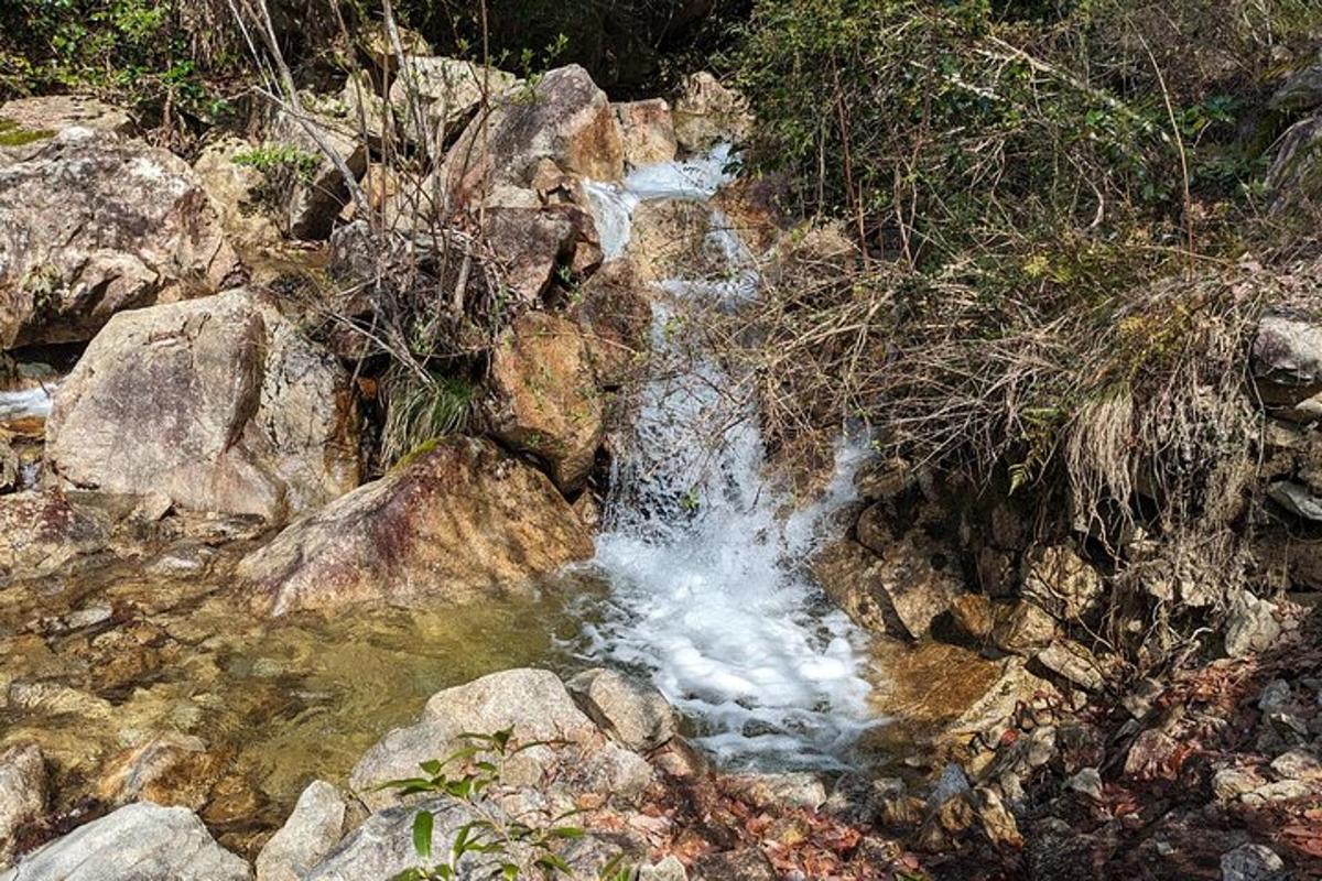 Lankytinos vietos ar pramogos nuotrauka numeris 4