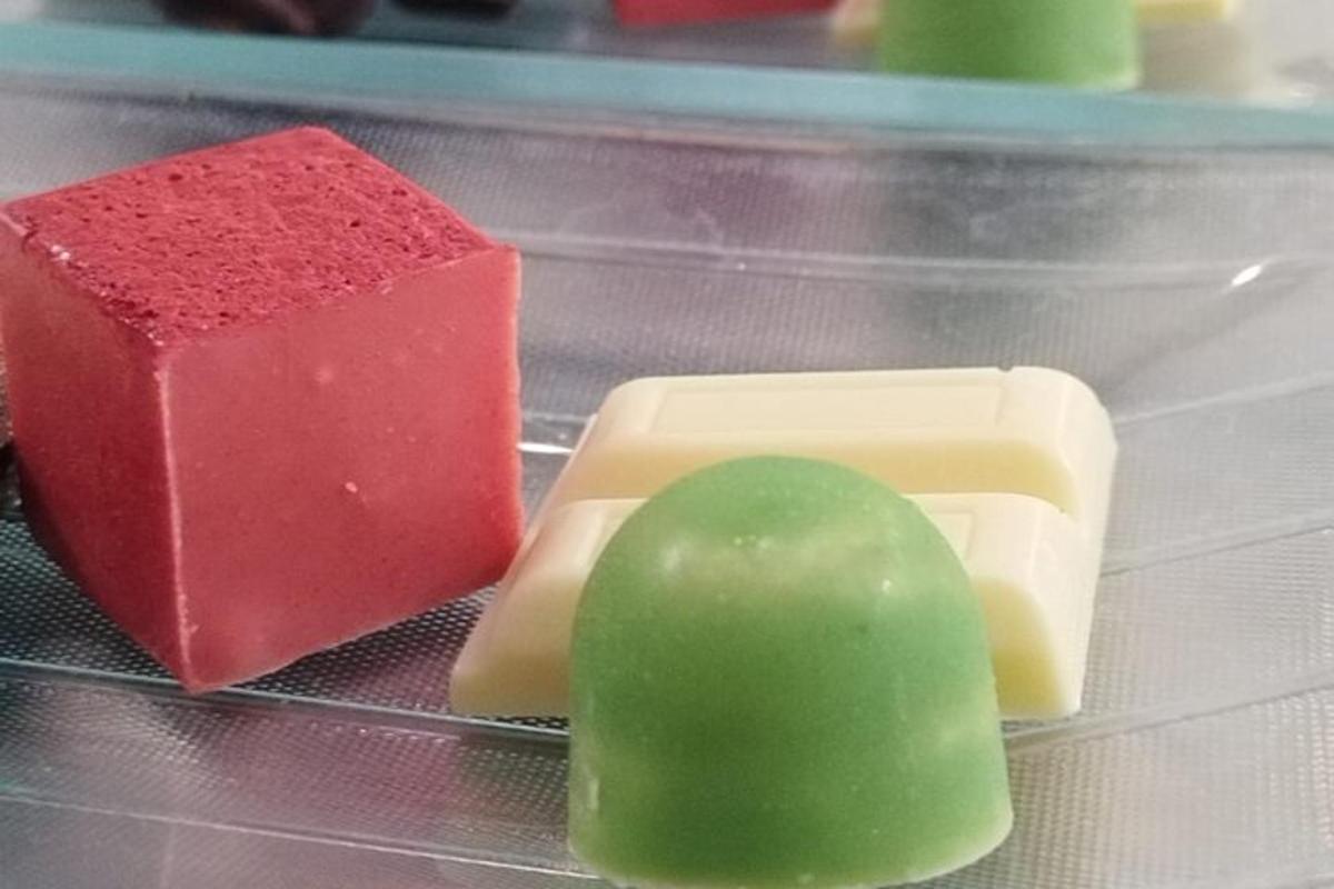 plastová nádoba se čtyřmi různými druhy dezertů