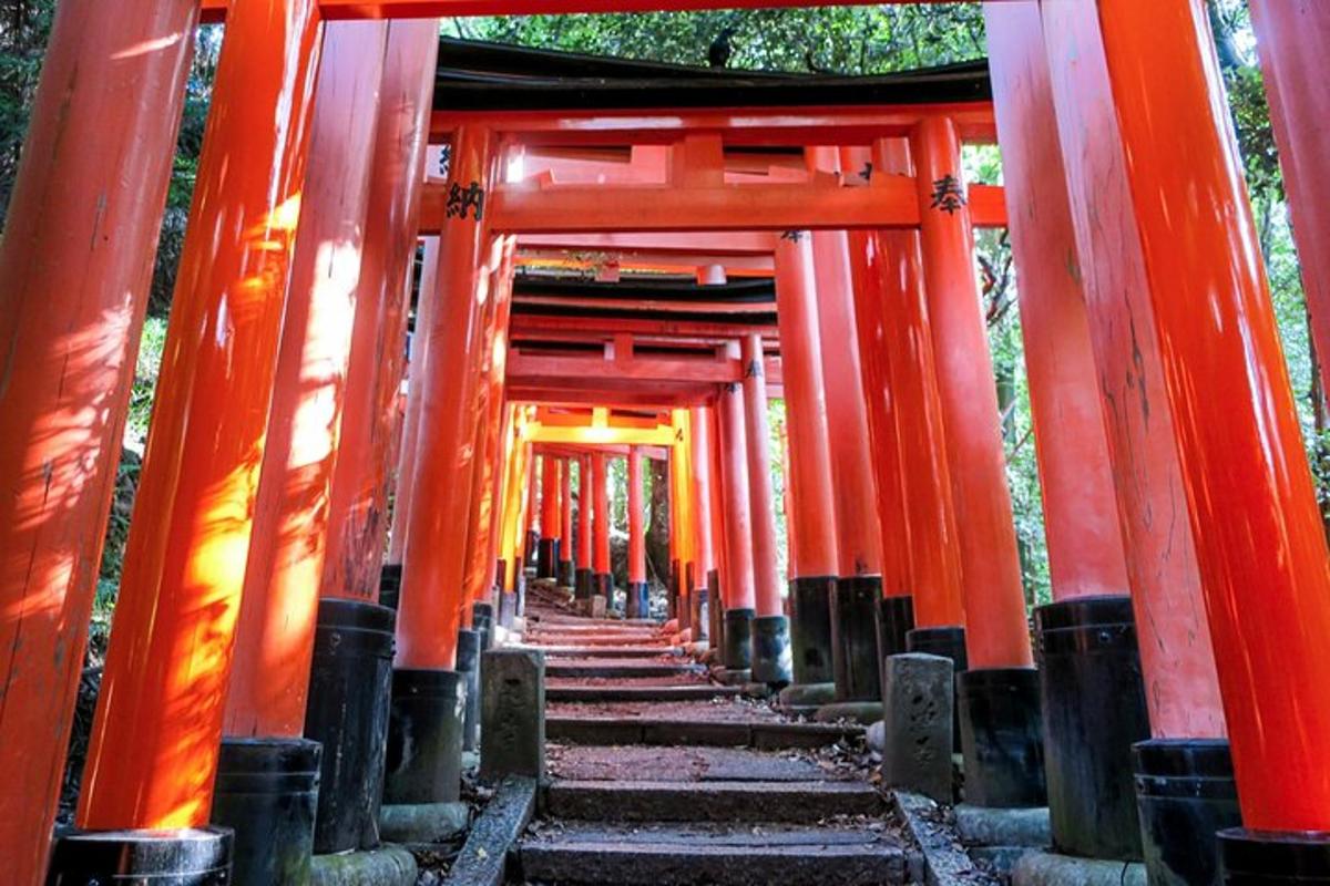 uma fileira de portões torii laranja em um templo