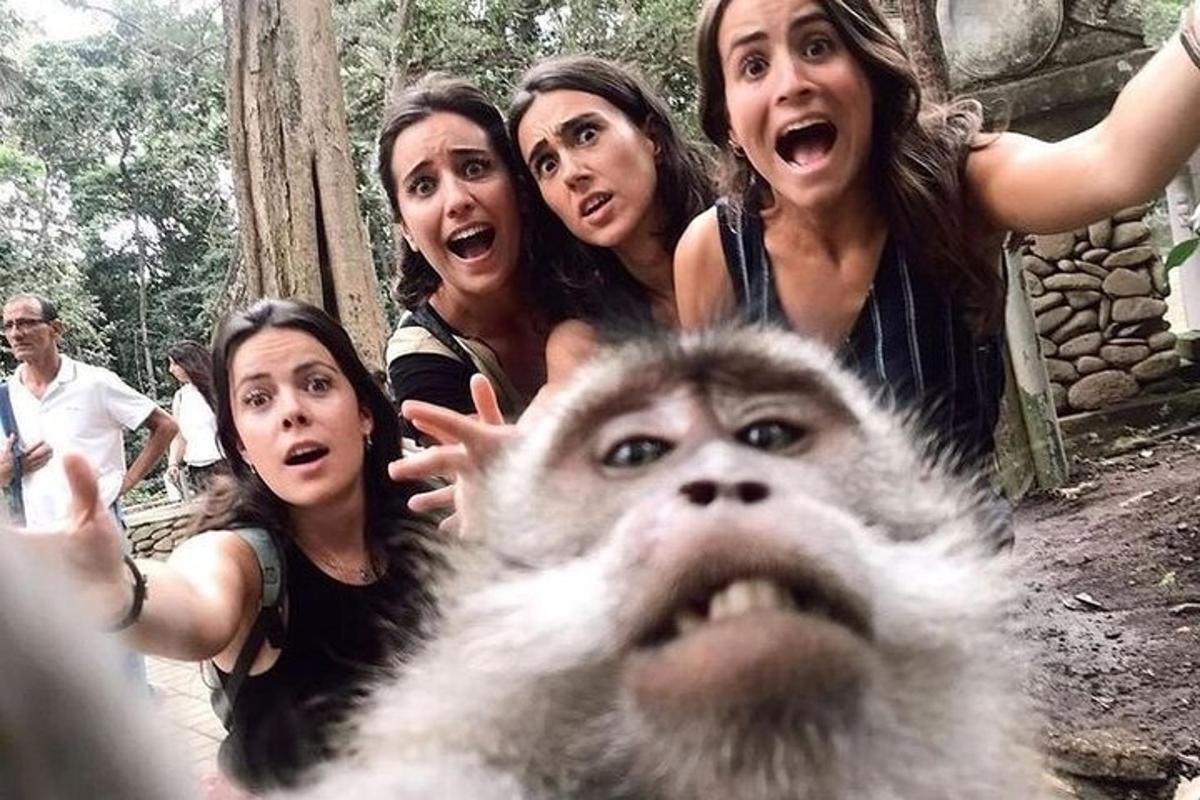 Skupina žen se dívá na opici