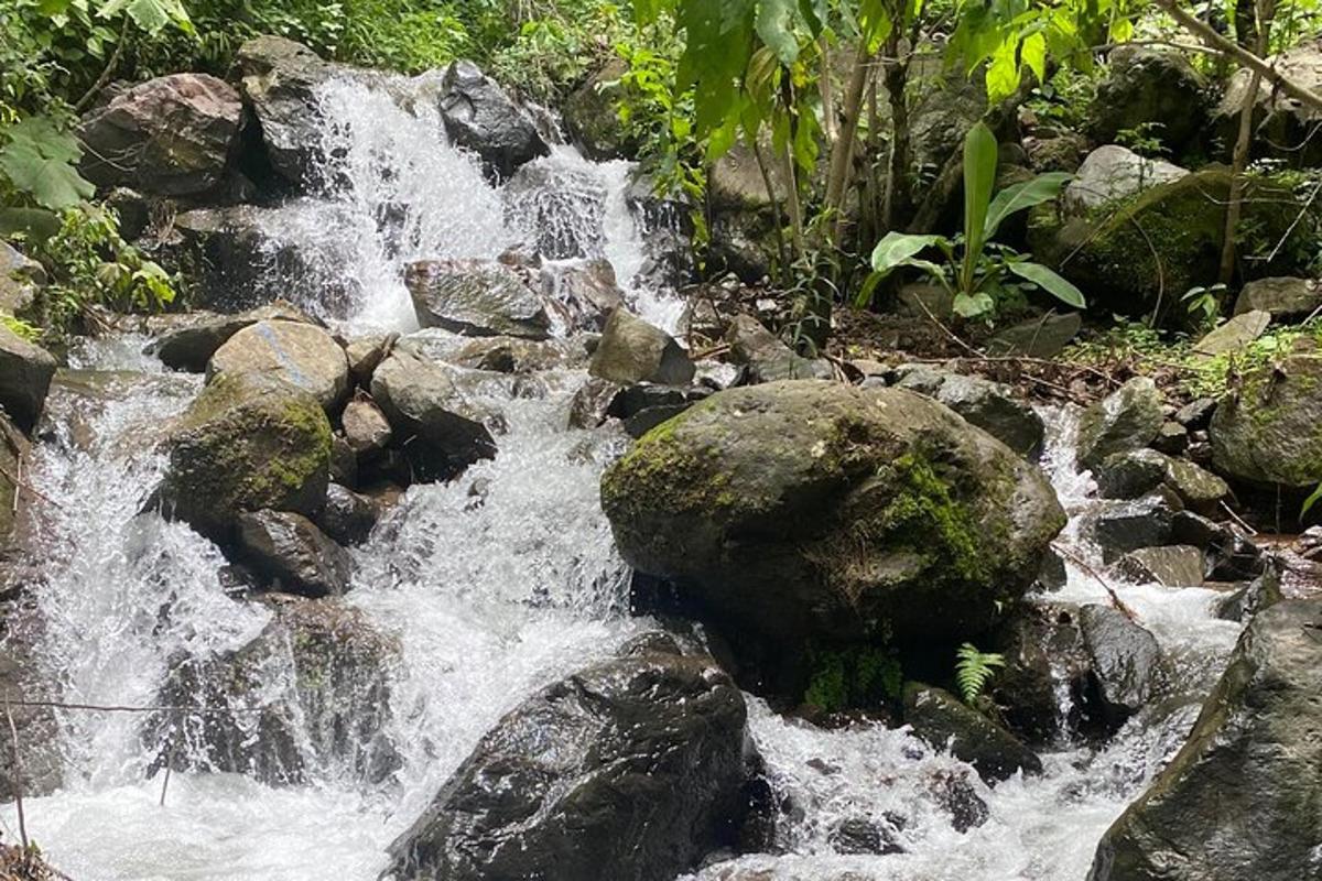 a stream of water rushing over rocks in a forest