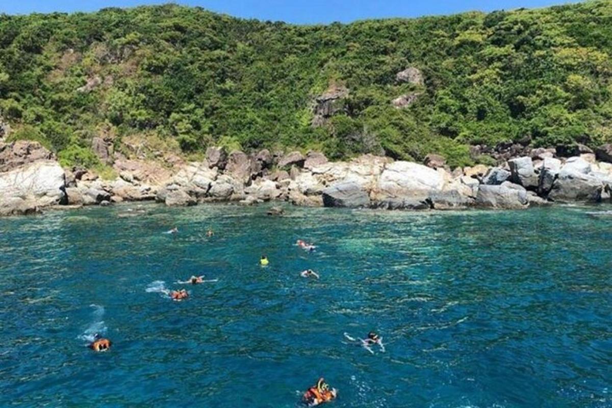 un grupo de personas nadando en un cuerpo de agua