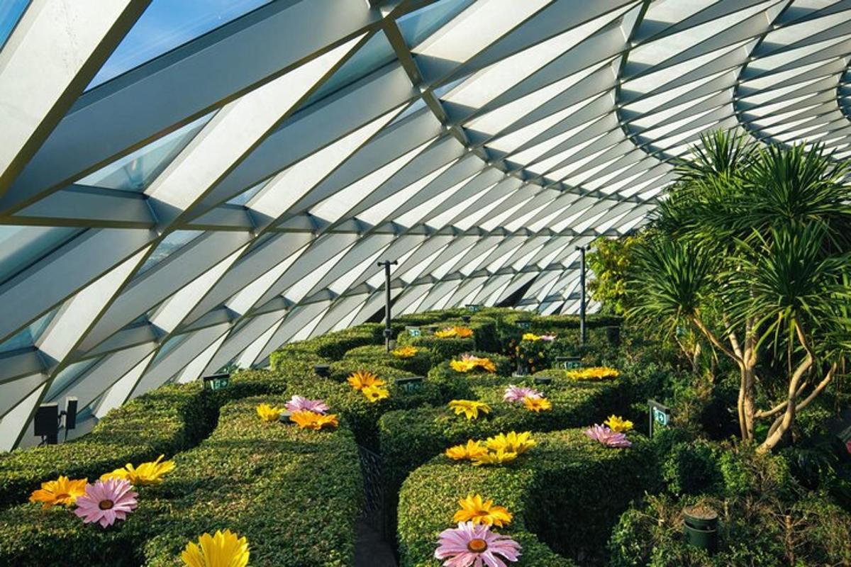 a display of flowers in a greenhouse
