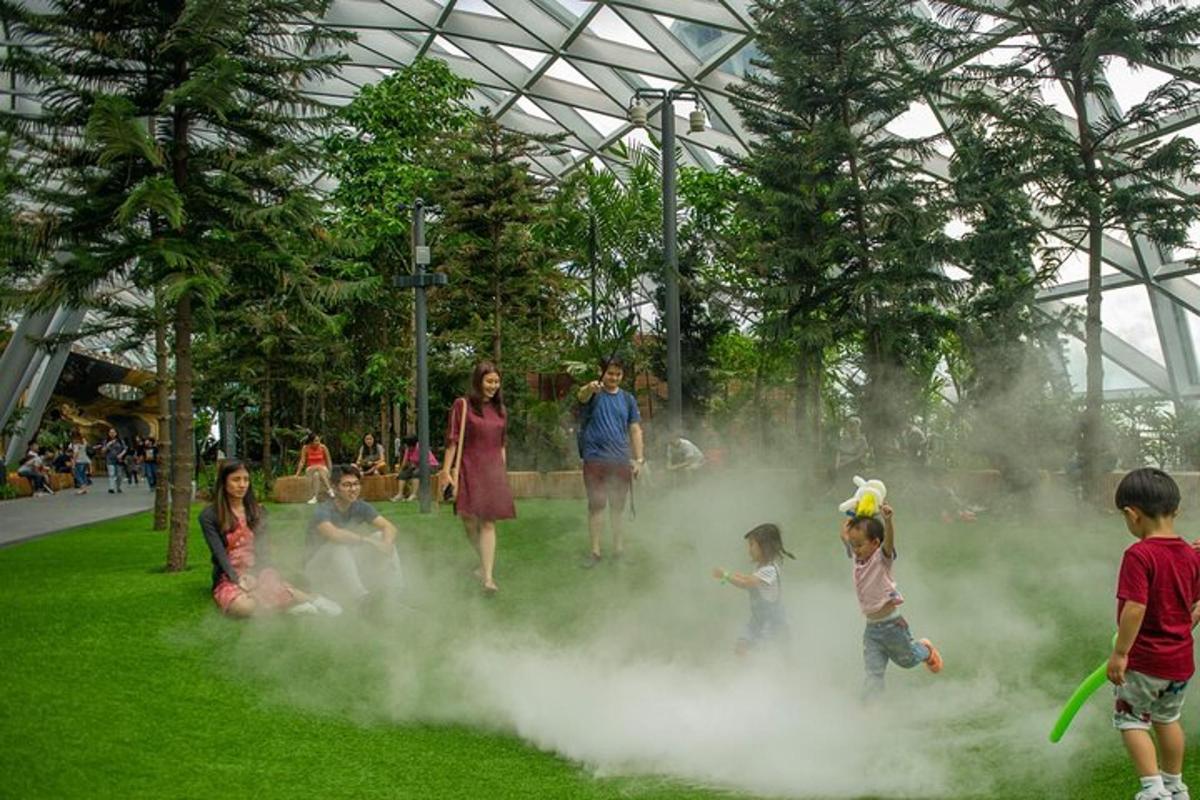 a group of people playing with smoke in a park
