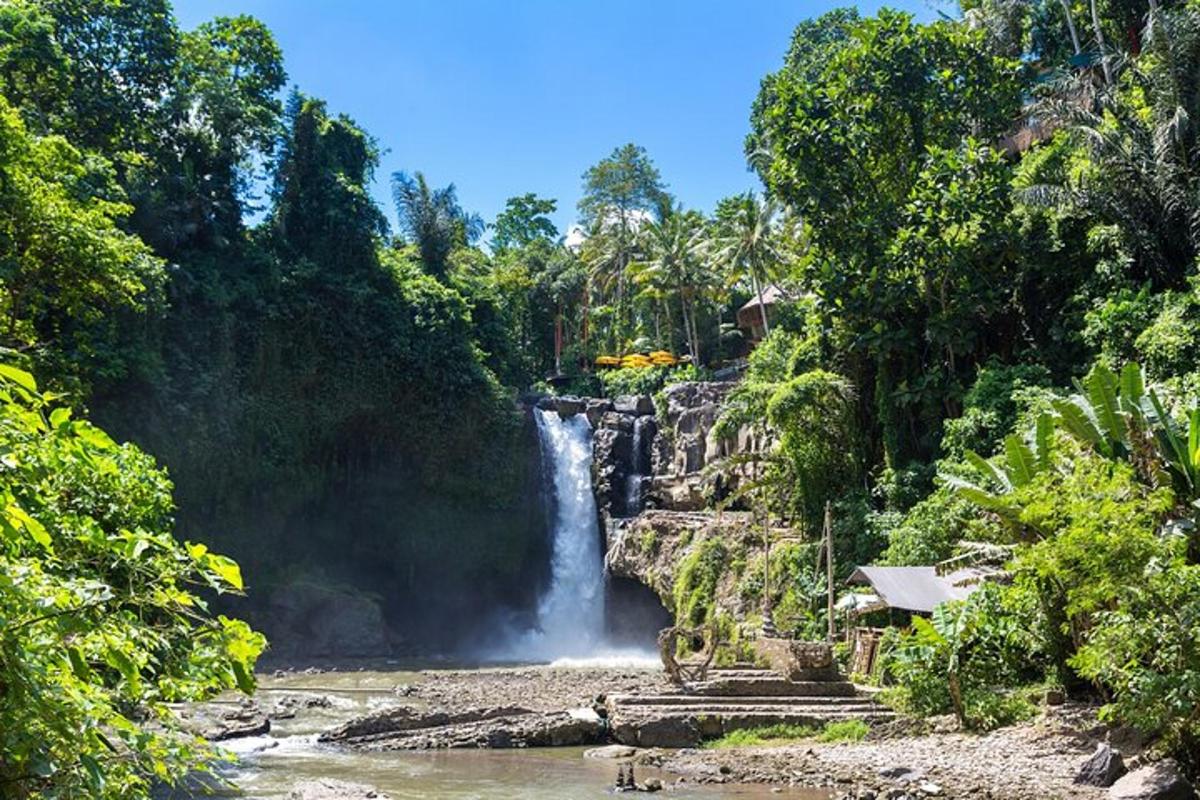 una cascada al mig d'un riu amb arbres