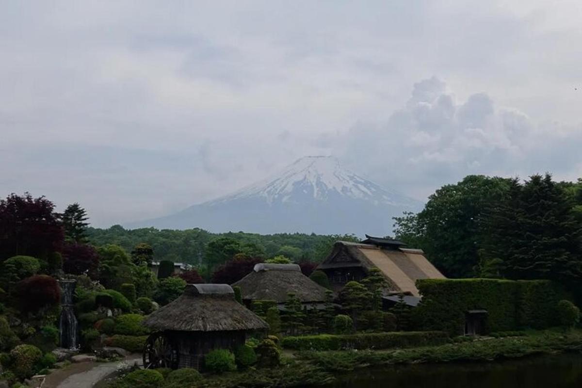 una montagna in lontananza con case e alberi