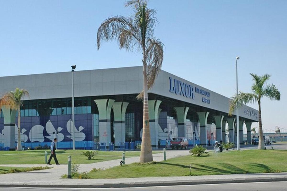una palmera davant d'un gran edifici