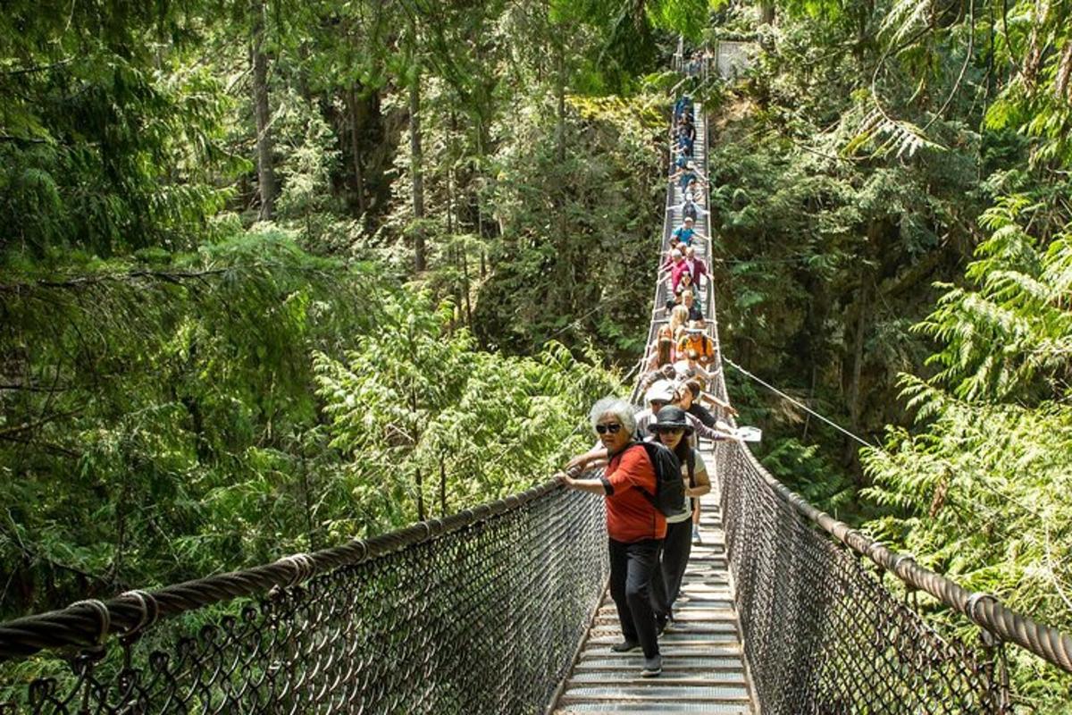 sekumpulan orang berjalan melintasi jambatan gantung di dalam hutan