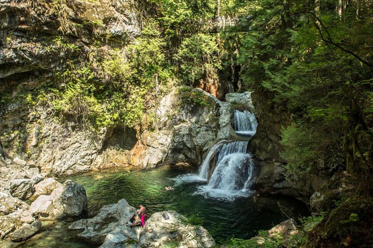 air terjun dalam hutan dengan orang di hadapannya